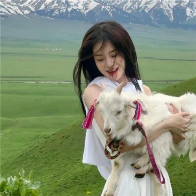向上猴子