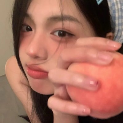 社会中坚
